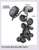 What's in Your Genome?