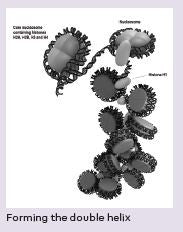 What's in Your Genome?