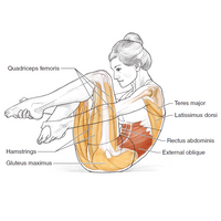 Pilates Anatomy: Illustrated guide to mat work for core stability and balance (2nd Edition)