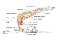 Pilates Anatomy: Illustrated guide to mat work for core stability and balance (2nd Edition)