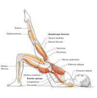 Pilates Anatomy: Illustrated guide to mat work for core stability and balance (2nd Edition)