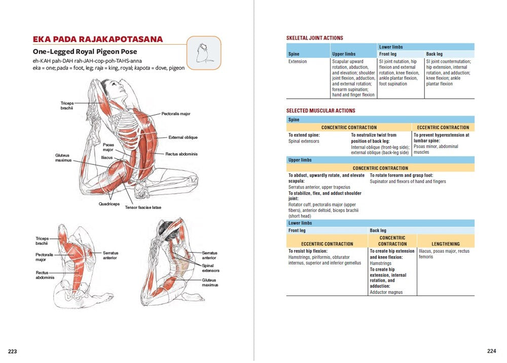 Yoga Anatomy  (3rd Edition)