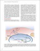 Science and Development of Muscle Hypertrophy
