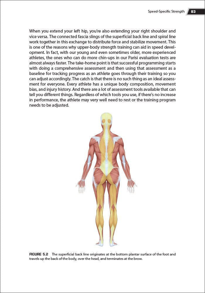 The Anatomy of Speed