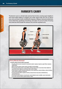 The Anatomy of Speed