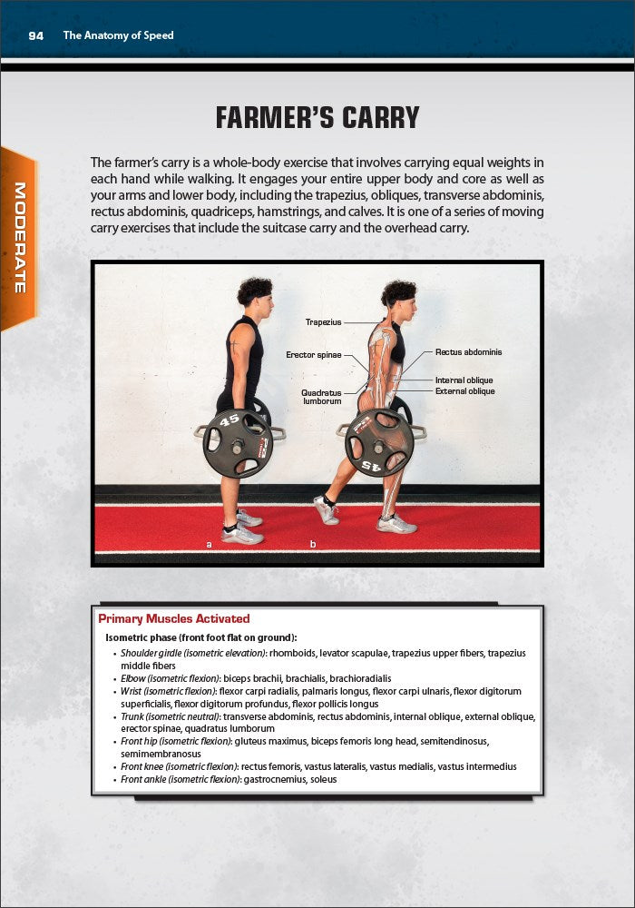 The Anatomy of Speed