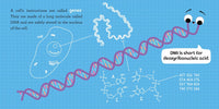 Baby Biochemist: DNA
