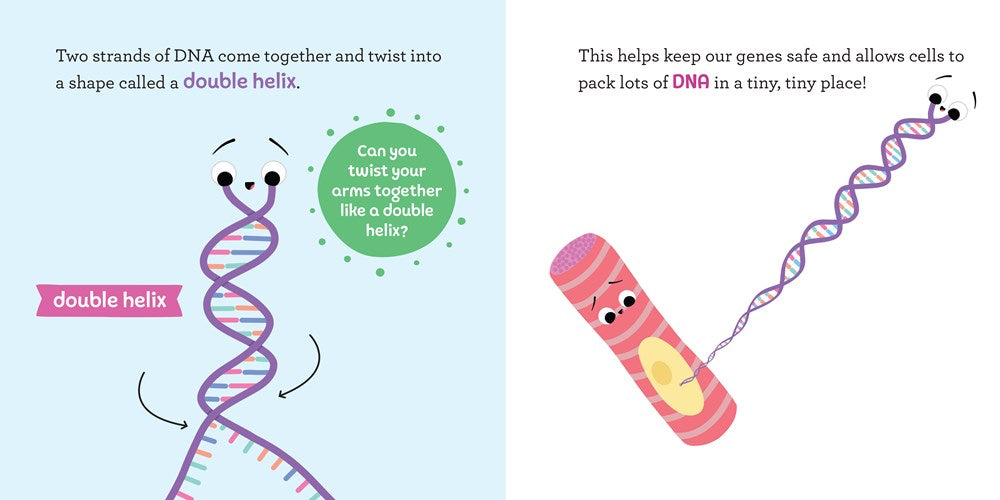 Baby Biochemist: DNA