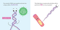 Baby Biochemist: DNA
