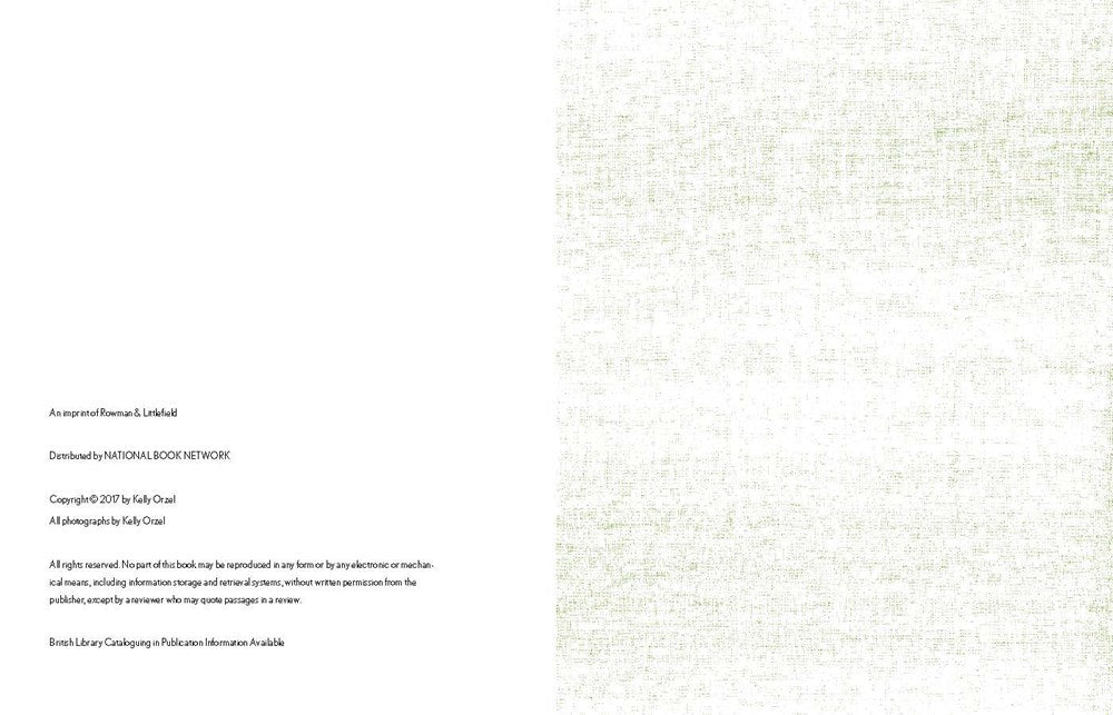 The Backyard Gardener