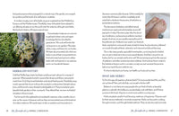 The Homesteader's Herbal Companion: The Ultimate Guide to Growing, Preserving, and Using Herbs