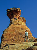 Rock Climbing Colorado