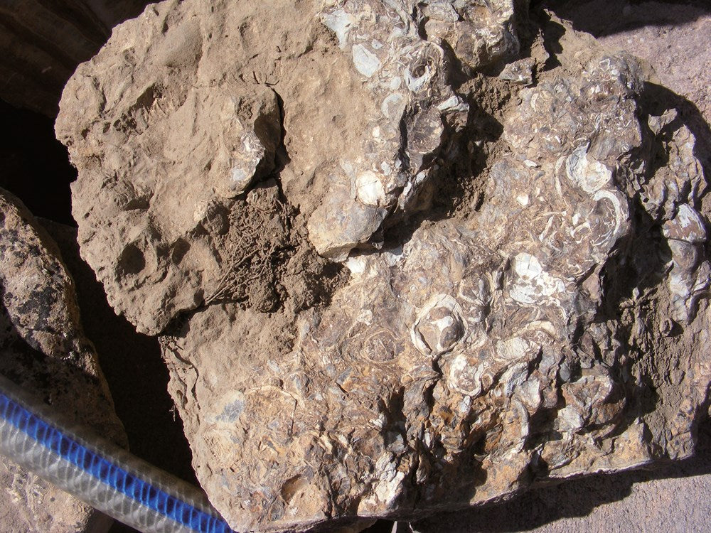 Rockhounding Utah
