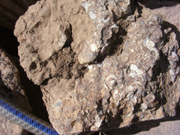 Rockhounding Utah