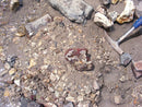 Rockhounding Utah