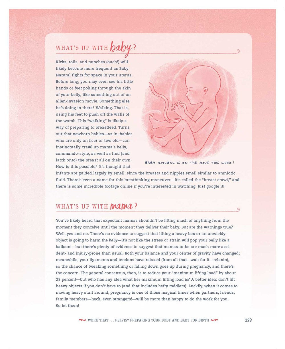The Mama Natural Week-by-Week Guide to Pregnancy and Childbirth
