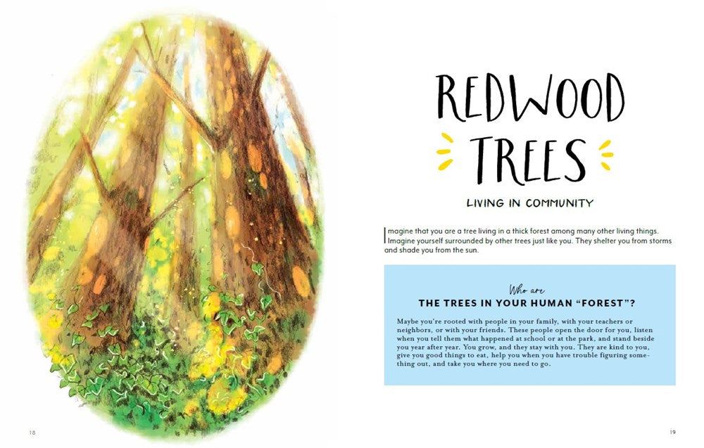 Finding Calm in Nature