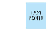 Finding Calm in Nature