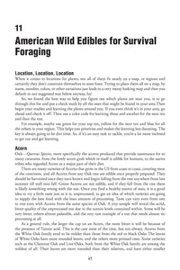 Foraging for Survival