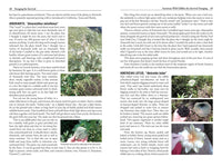 Foraging for Survival