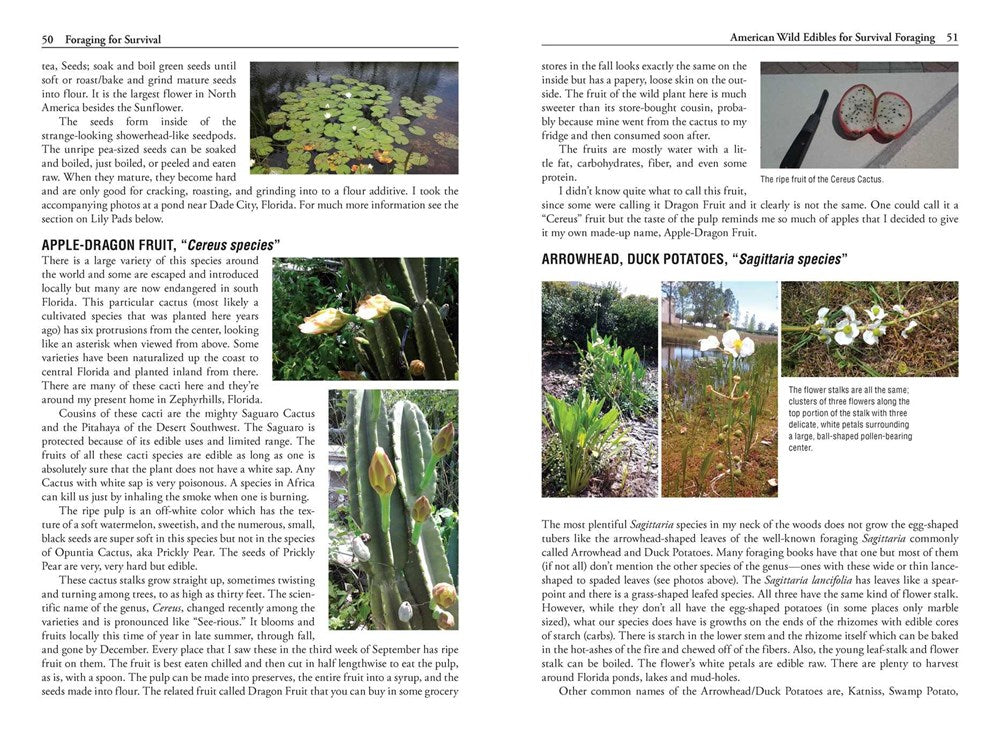 Foraging for Survival