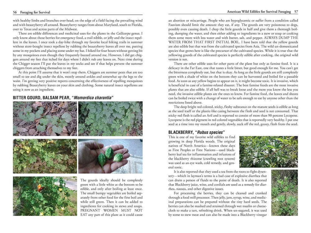 Foraging for Survival