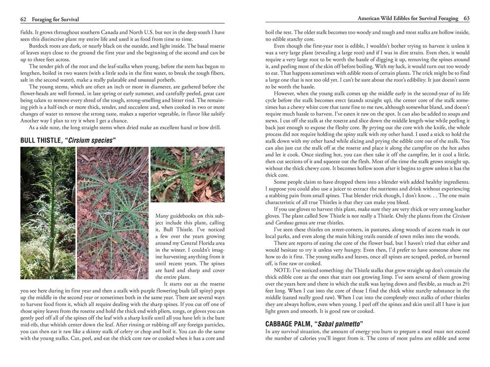 Foraging for Survival