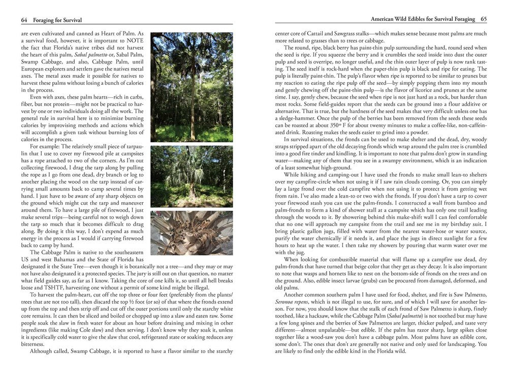 Foraging for Survival