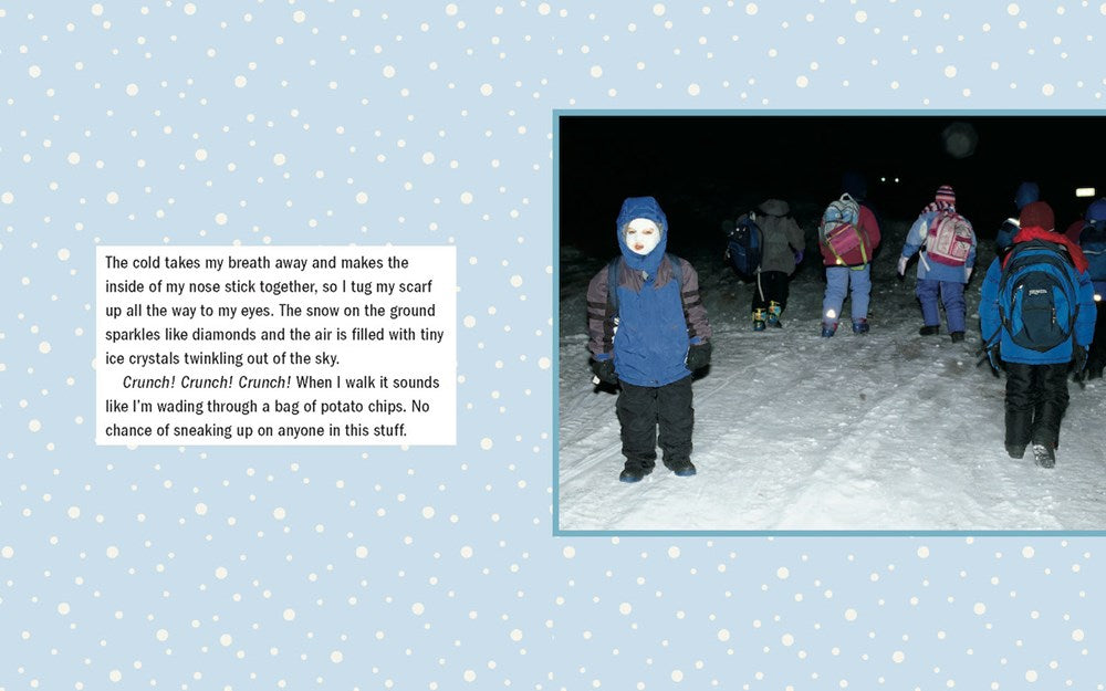 Recess at 20 Below, Revised Edition