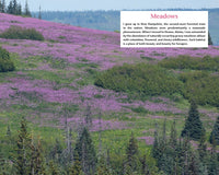 Alaska's Wild Plants, Revised Edition