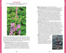 Alaska's Wild Plants, Revised Edition