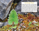 Alaska's Wild Plants, Revised Edition
