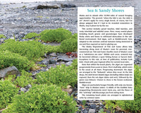 Alaska's Wild Plants, Revised Edition
