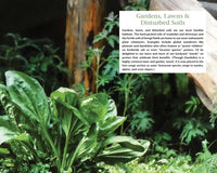 Alaska's Wild Plants, Revised Edition