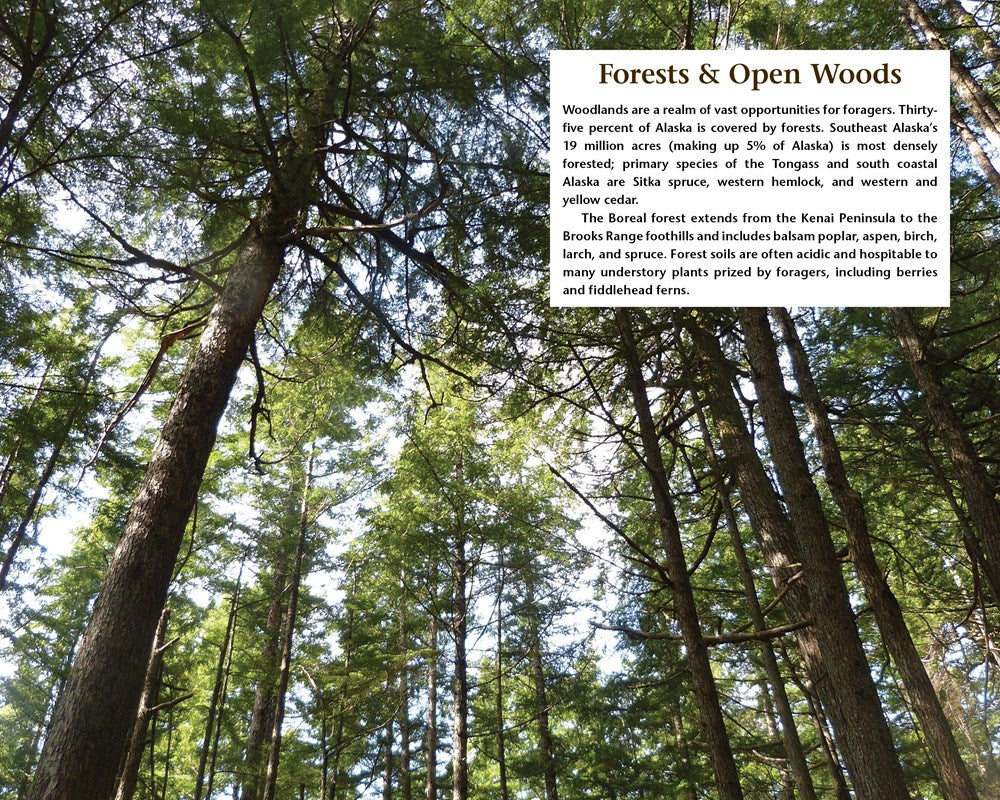 Alaska's Wild Plants, Revised Edition