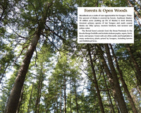 Alaska's Wild Plants, Revised Edition