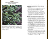 Alaska's Wild Plants, Revised Edition