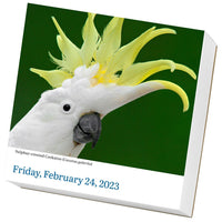 Audubon Birds Page-A-Day Calendar 2023