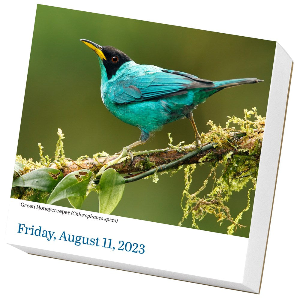Audubon Birds Page-A-Day Calendar 2023