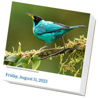 Audubon Birds Page-A-Day Calendar 2023