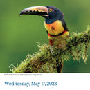 Audubon Birds Page-A-Day Calendar 2023