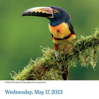 Audubon Birds Page-A-Day Calendar 2023