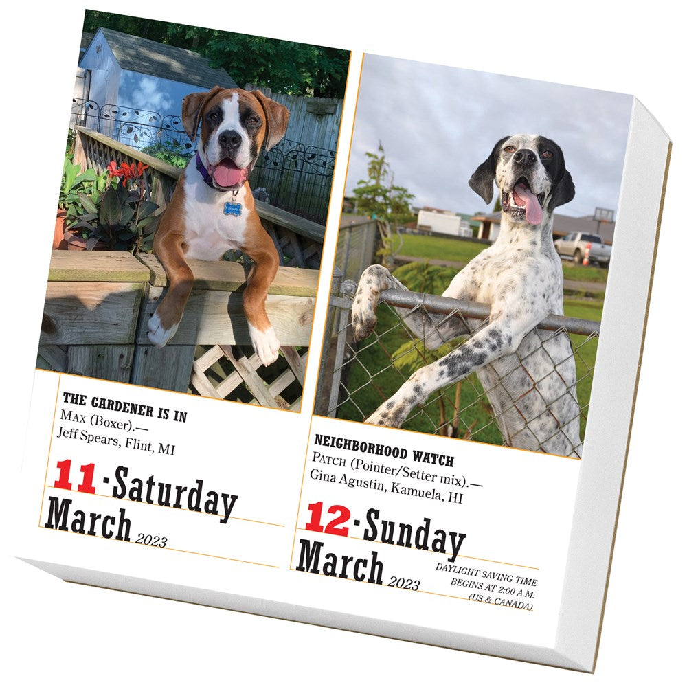 365 Dogs Page-A-Day Calendar 2023