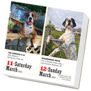 365 Dogs Page-A-Day Calendar 2023