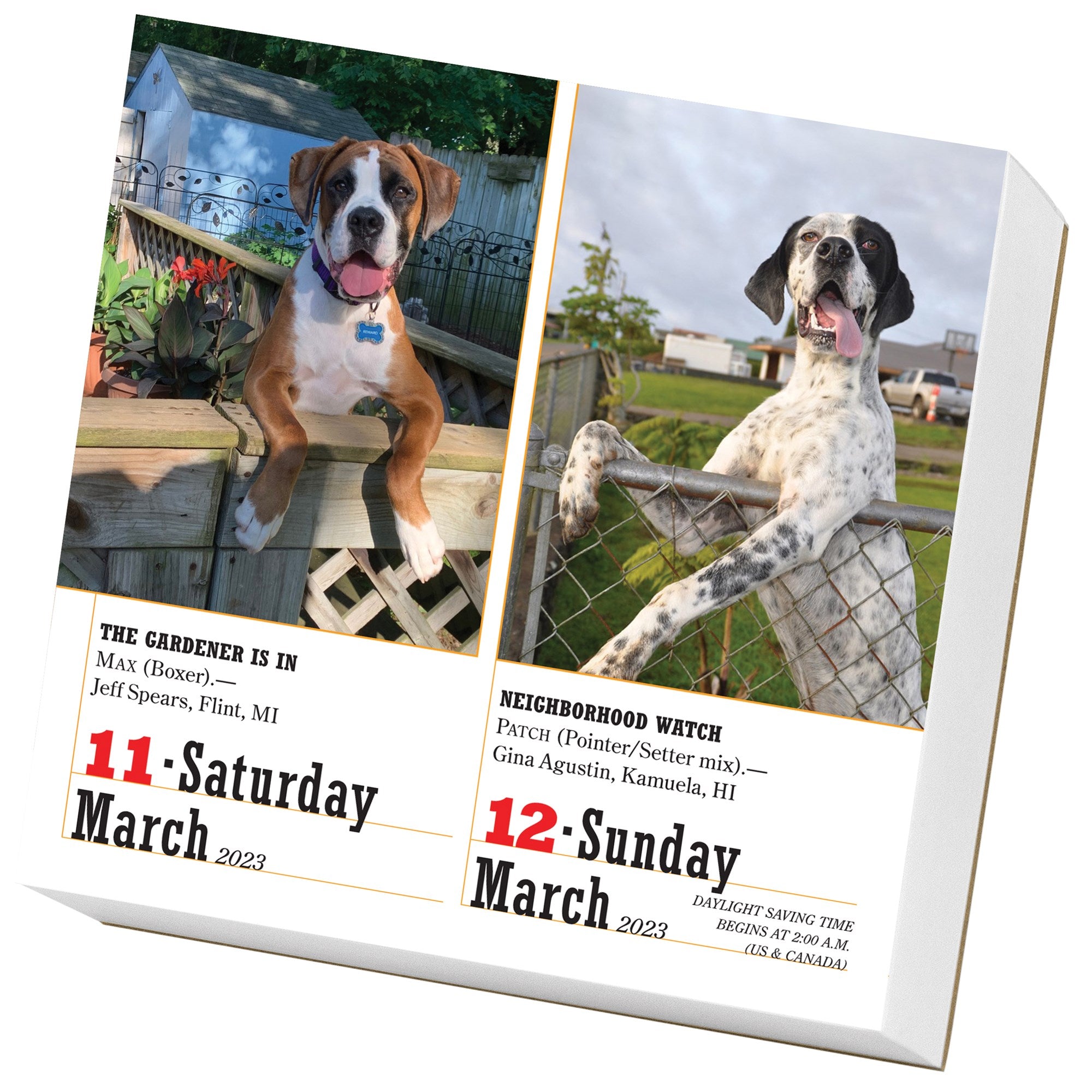 365 Dogs Page-A-Day Calendar 2023