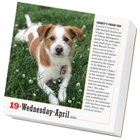 365 Dogs Page-A-Day Calendar 2023