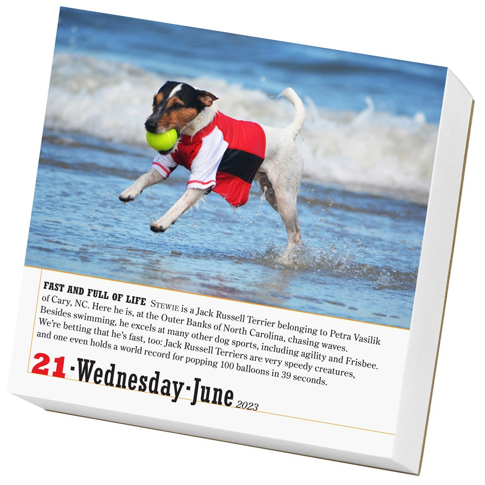 365 Dogs Page-A-Day Calendar 2023