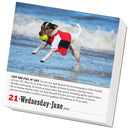 365 Dogs Page-A-Day Calendar 2023
