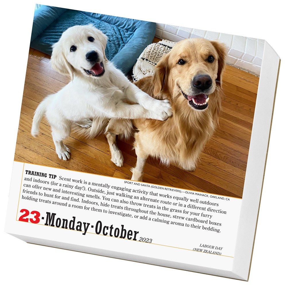 365 Dogs Page-A-Day Calendar 2023