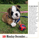 365 Dogs Page-A-Day Calendar 2023